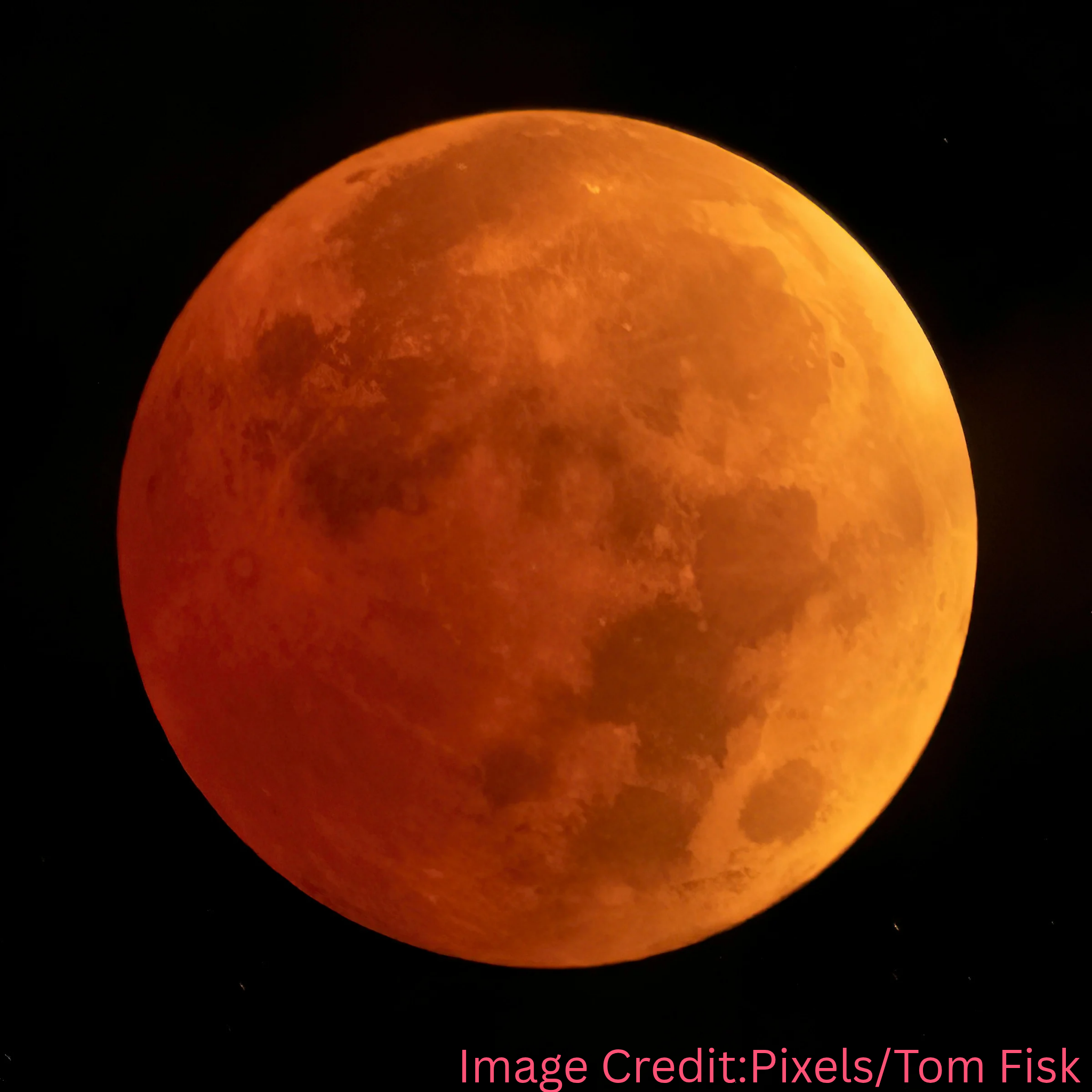 Image Credit Pixels Tom Fisk 20250908 000649 0000